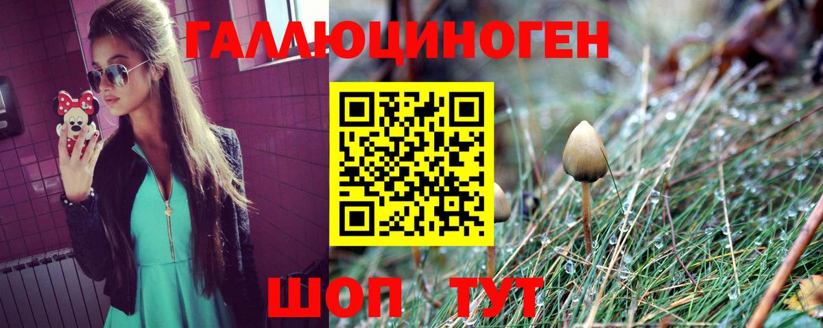 Галлюциногенные грибы Cubensis  Галлюциногенные грибы Cubensis  Вход с VPN  продажа наркотиков  Нальчик 